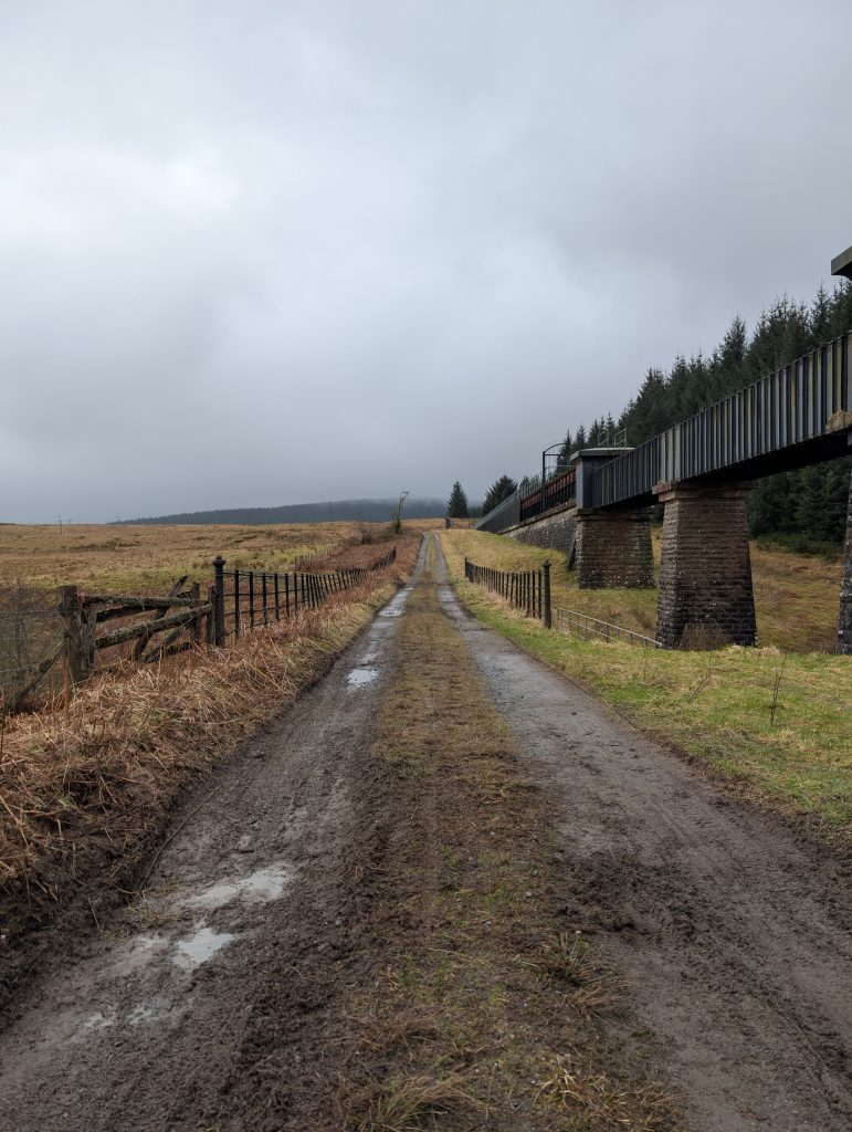 Rob Roy Trial - Looking back